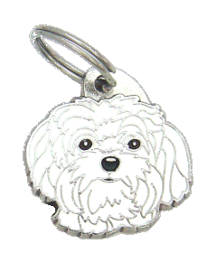 Bolończyk kolorowy biały - pet ID tag, dog ID tags, pet tags, personalized pet tags MjavHov - engraved pet tags online