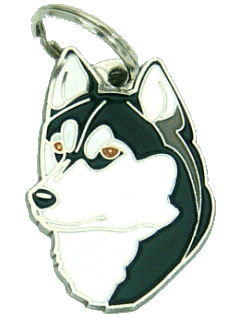 Husky syberyjski czarny, brązowe oczy - pet ID tag, dog ID tags, pet tags, personalized pet tags MjavHov - engraved pet tags online