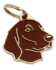 Flat coated retriever brązowy - pet ID tag, dog ID tags, pet tags, personalized pet tags MjavHov - engraved pet tags online