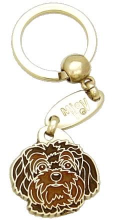 Bolończyk kolorowy brązowy - pet ID tag, dog ID tags, pet tags, personalized pet tags MjavHov - engraved pet tags online