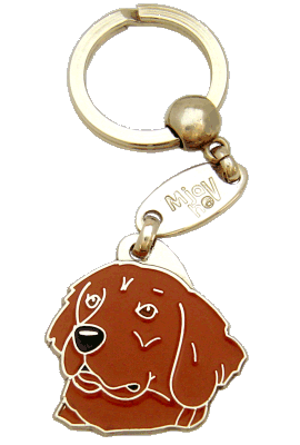Golden retriever czerwony - pet ID tag, dog ID tags, pet tags, personalized pet tags MjavHov - engraved pet tags online