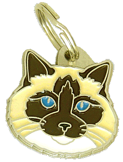 Ragdoll seal point mitted - Gepersonaliseerde kattenpenningen MjavHov - Gegraveerde kattenpenningen online