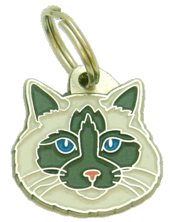 Ragdoll-Katze blau grau - Katzenmarken MjavHov - Katzenmarke, Katzenmarken online, Katzenmarken mit gravur, gravierte Katzenmarken, Katzenmarkeanhänger, Anhänger mit gravur, Katzenmarkezubehöer, Rassen Katzenmarke, Tieranhänger