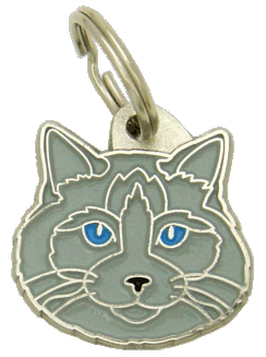 Ragdoll-Katze blue mink - Katzenmarken MjavHov - Katzenmarke, Katzenmarken online, Katzenmarken mit gravur, gravierte Katzenmarken, Katzenmarkeanhänger, Anhänger mit gravur, Katzenmarkezubehöer, Rassen Katzenmarke, Tieranhänger