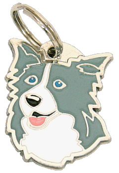 BORDER COLLIE BLÅ - pet ID tag, dog ID tags, pet tags, personalized pet tags MjavHov - engraved pet tags online