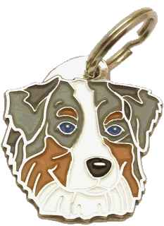 AUSTRALIAN SHEPHERD BLÅ MERLE - pet ID tag, dog ID tags, pet tags, personalized pet tags MjavHov - engraved pet tags online