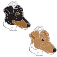 placas identificação para cães MjavHov - Fox terrier de pêlo liso