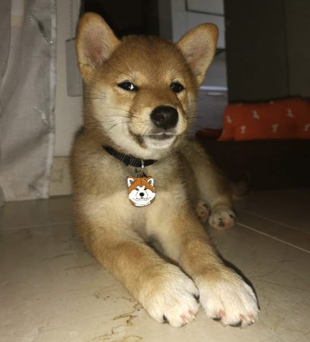 Photos