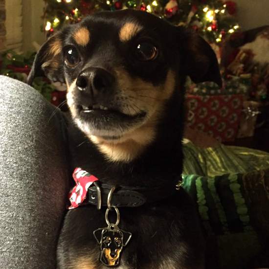 Фотографии