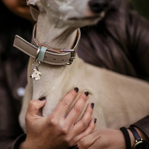 ﻿Namnbricka för hund med personlig gravyr Whippet vit/creme

Färg: färgat/silver 
Storleken på den hängande: 33 x 28 mm
Maximal storlek gravyr: 20 x 7 mm

Brickorna är kvalitativa, kromade och handmålade.
 
Lasergraverade inskription på baksidan av hundbricka ingår i priset.

Alla ID-brickor levereras med en ring, för enkel och säker montering på djurets halsband.

Handgjorda, tillverkade i Slovenien.

På lager.
