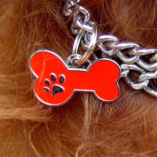 Custom personalized dog name tag BONE MJAVHOV RED
Color: colored/silver 
Dim: 34 x 21 mm
Engraving area: 
27 x 7 mm
Metal, chrome plated pet tag.
 
Personalized laser engraving on the back side included.

Hand made 
MADE IN SLOVENIA

In stock.

