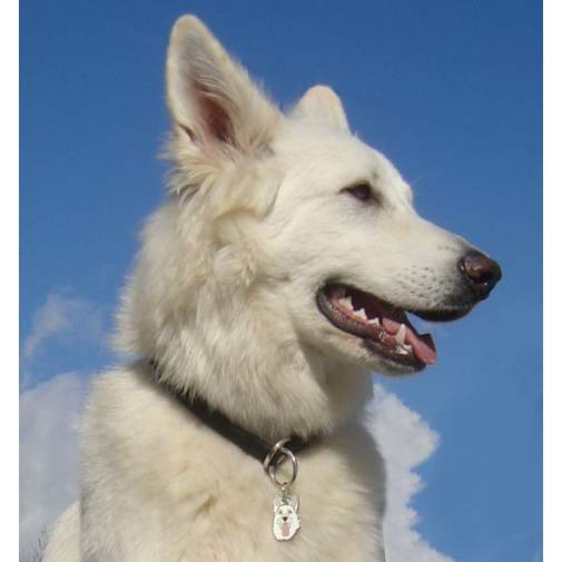 ﻿Namnbricka för hund med personlig gravyr Vit herdehund

Färg: färgat/silver 
Storleken på den hängande: 23 x 39 mm
Maximal storlek gravyr: 20 x 18 mm

Brickorna är kvalitativa, kromade och handmålade.
 
Lasergraverade inskription på baksidan av hundbricka ingår i priset.

Alla ID-brickor levereras med en ring, för enkel och säker montering på djurets halsband.

Handgjorda, tillverkade i Slovenien.

På lager.
