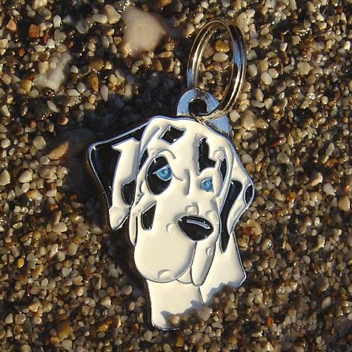 Custom personalized dog name tag GREAT DANE HARLEQUIN
Color: colored/silver 
Dim: 30 x 40 mm
Engraving area: 
18 x 20 mm
Metal, chrome plated pet tag.
 
Personalized laser engraving on the back side included.

Hand made 
MADE IN SLOVENIA

In stock.
