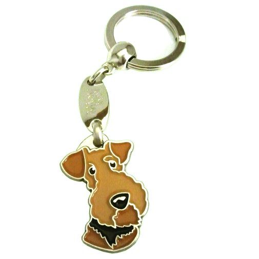 Custom personalized dog name tag AIREDALE TERRIER
Color: colored/silver 
Dim: 22 x 35 mm
Engraving area: 
21 x 9 mm
Metal, chrome plated pet tag.
 
Personalized laser engraving on the back side included.

Hand made 
MADE IN SLOVENIA

In stock.
