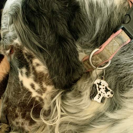 Kaiverrettu koiran nimilaatta Englanninsetteri mustavalkoinen
Väri: värillinen/hopea
Mitat: 31 x 35 mm
Kaiverruksen sijainti: 20 x 12 mm 

Metallinen, kromattu lemmikin nimilaatta.
 
Kääntöpuolelle tehty personoitu laserkaiverrus sisältyy hintaan.

Käsintehty, valmistettu Sloveniassa.

Varastossa.
