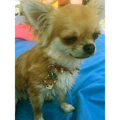 Gegraveerde hondenpenning Chihuahua langharig crème

Kleur: gekleurd/zilver 
Grootte: 29 x 24 mm
Afmeting gravure: 17 x 12 mm

Metaal, verchroomde hondenpenning.
 
Inclusief met laser gegraveerde achterkant.

Hand gemaakt, made in Slovenie.

Op voorraad.
