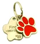 engraved pet tags images