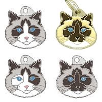 Médailles gravées pour chiens et chats MjavHov - Ragdoll