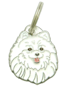 Médaille pour chien collection Friends, POMÉRANIEN, Couleurs variées -  Boutique Le Jardin Des Animaux