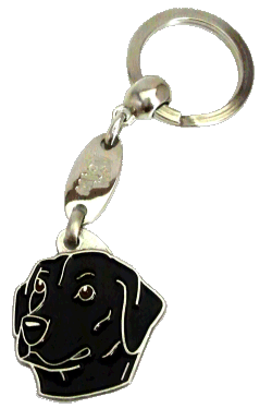 Labradorinnoutaja musta