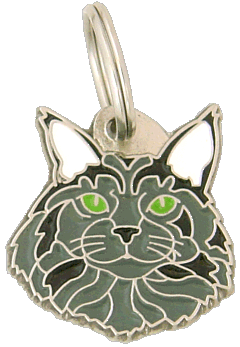 Maine coon modra