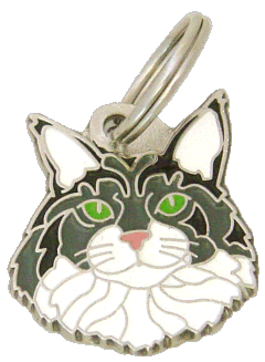 Maine coon