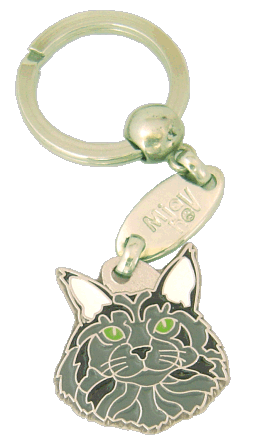 Maine coon modra