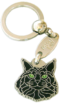 Maine coon črna