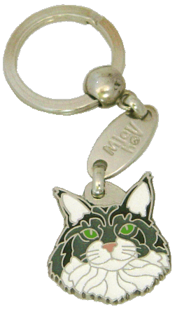 Maine coon
