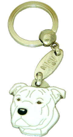 Staffordshirski bulterier bel