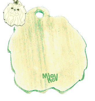 pet ID tag, dog ID tags, pet tags, personalized pet tags MjavHov - engraved pet tags online